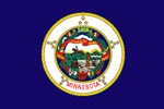 Minnesota State flag