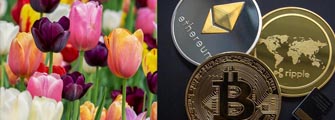 crypto tokens next to tulips